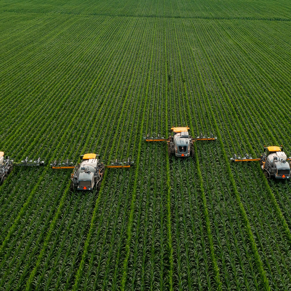 Combine harvesters in a field