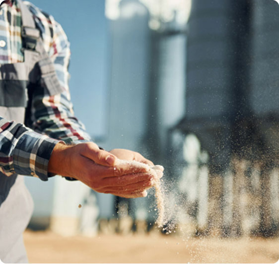 Grain in hands