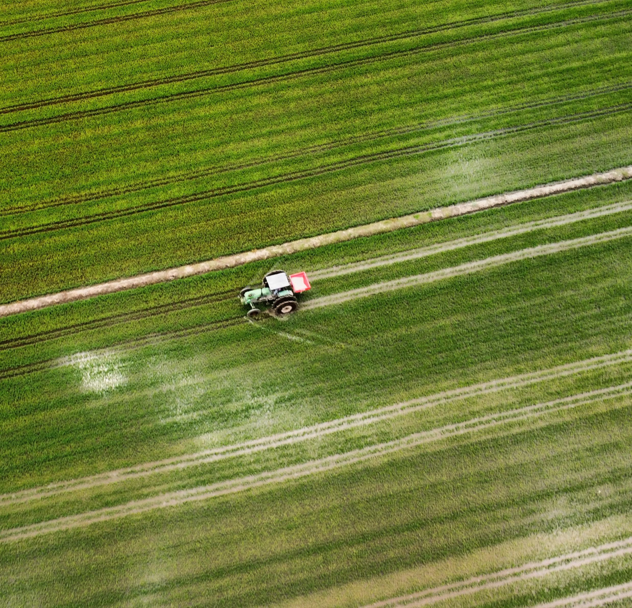 Tractor in a field